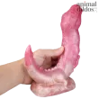 Arcane Beast Frenzy Dildo